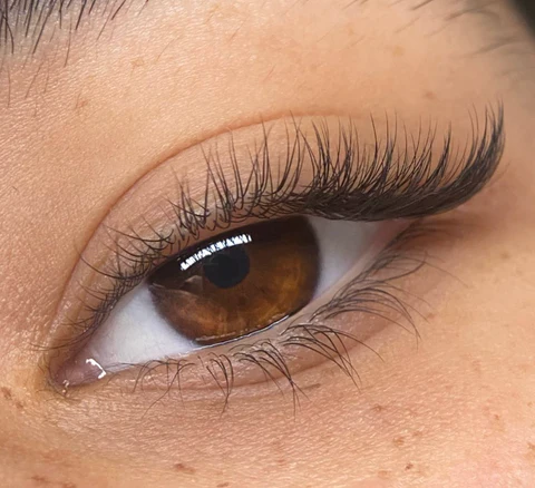 half_lash_480x480